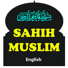 穆斯林圣训英语电子书 图标