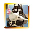 Chicken Adventure Crush Sim APK