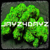 JAYZ4DAYZ APK