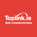 Toplink Classifieds-APK