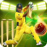 Cricket Games 2017 Free 3D APK