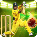 Cricket Games 2017 Free 3D-icoon
