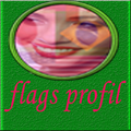 flag profil 2016