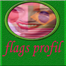flag profil 2016 APK