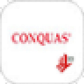 CONQUAS BCA