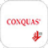 CONQUAS BCA-icoon