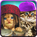 Говоря Кошки 2 APK