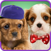 Talking puppies APK
