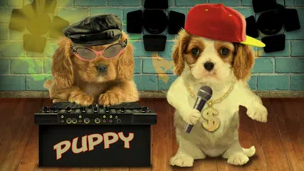 Im Gespräch Welpen. APK Herunterladen