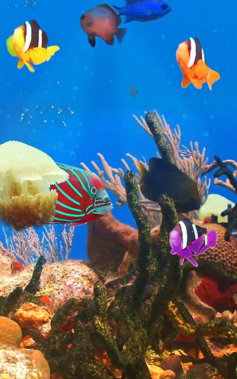 Android 用の 水族館と魚 Apk をダウンロード