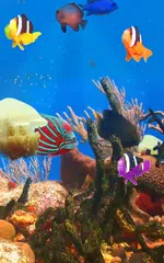 Aquarium und Fische APK Herunterladen