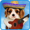 Funny cats. Funny dogs. APK