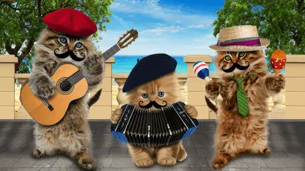 Funny cats. Funny dogs. APK download