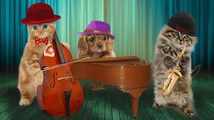 Funny cats. Funny dogs. APK download
