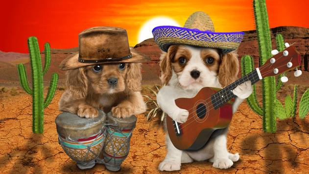 Android 用の 面白い猫 面白い犬 Apk をダウンロード