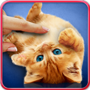 Мурлыканье кошки, живые обои. APK