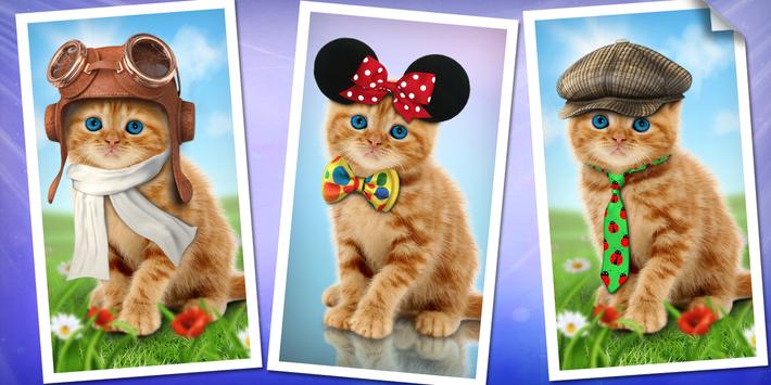Gambar Kucing Untuk Wallpaper Whatsapp