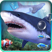 De requins aquarium