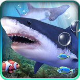 Shark aquarium