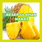 Aneka Oalahn Nanas আইকন