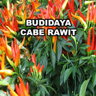 Budidaya Cabe Rawit 图标