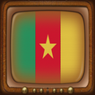 TV Satellite Cameroon Info