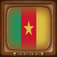 TV Satellite Cameroon Info plakat