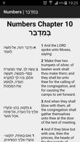 Torah, Tehilim, Hebrew-English poster