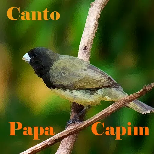 Canto do Papa capim for Android - Download