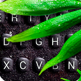 Black Spa Keyboard Theme icono