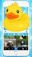 Funny Yellow Duck Pool Screenshot 3