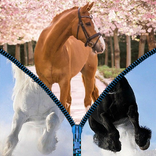 Horses World - Zipper Unlock Screen