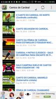 Cantos de Cardeal HQ 2017 ภาพหน้าจอ 2