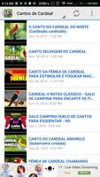 Cantos de Cardeal HQ 2017 截图 2
