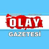 Diyarbakır Olay Gazetesi icône