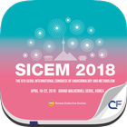 آیکون‌ SICEM 2018