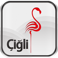 Cigli Municipality