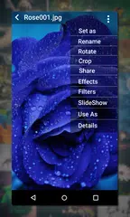 Gallery APK download