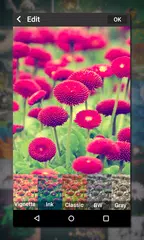 Gallery APK download