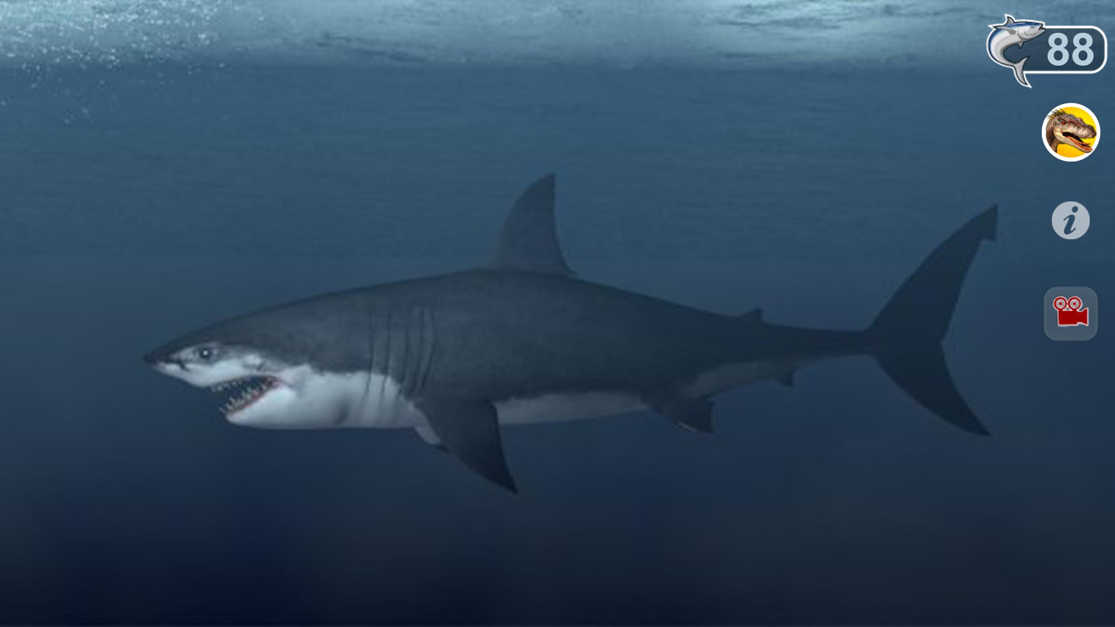 Talking Great White My Pet Shark Free For Android Apk Download - great white shark roblox