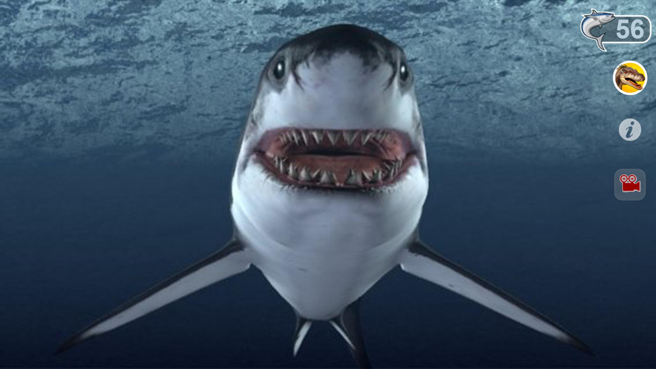 Talking Great White My Pet Shark Free For Android Apk Download - great white shark roblox