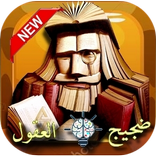 ضجيج العقول