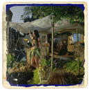 All Katy Perry Songs APK