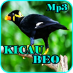 Kicau Burung Beo Gacor Mp3