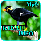 Kicau Burung Beo Gacor Mp3 आइकन