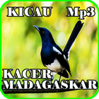 Kicau Kacer Madagaskar Mp3 আইকন