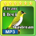 Kicau Masteran Pleci Gacor