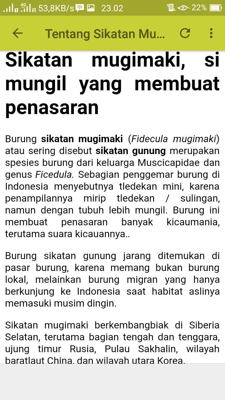 Kicau Sikatan Mugimaki Mp3 For Android Apk Download