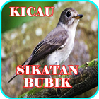 Kicau Sikatan Bubik Masteran icône