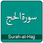 Surah Al Hajj MP3 Urdu English ícone